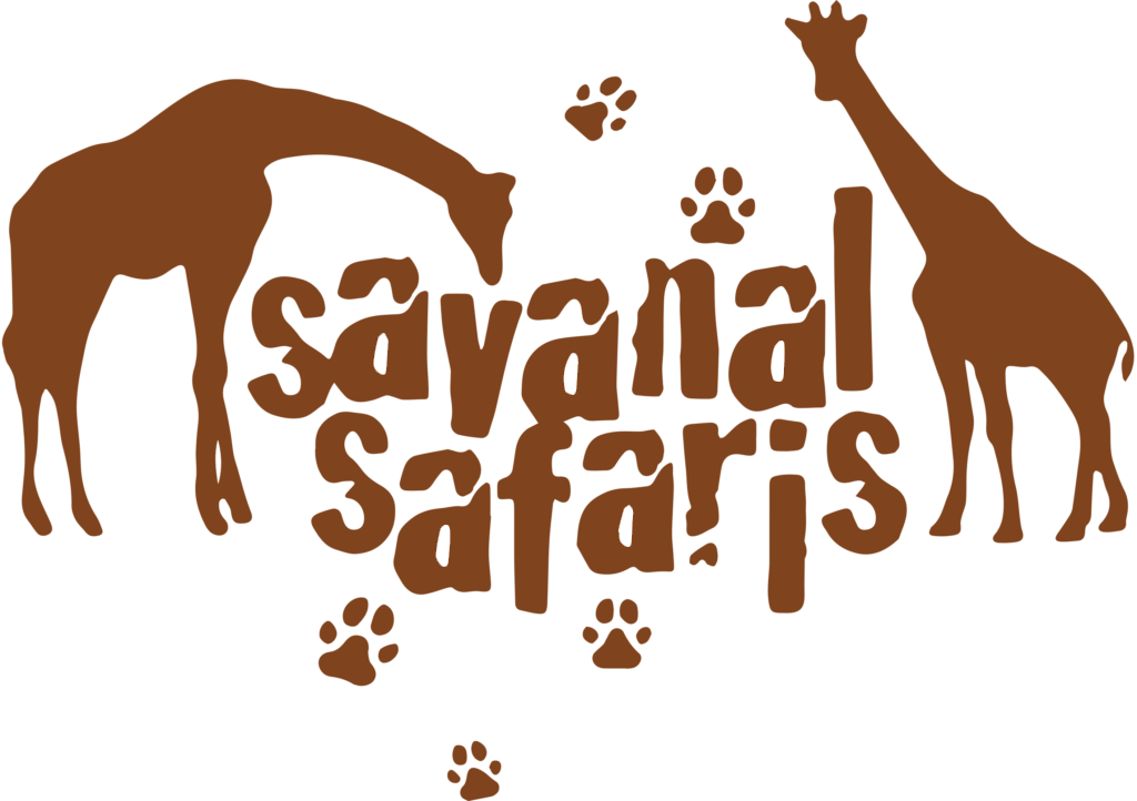 SS_FNL_LOGO_NO-BG-1024x722 (2)